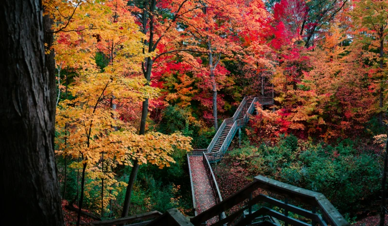 Image Compression for Beginners: A Guide to Smaller Files & Faster Websites