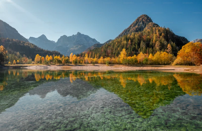 Introducing BulkResizeImages.online: A Free, Private, and Powerful Bulk Image Resizer